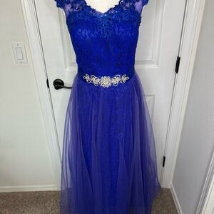 David's Bridal Royal Blue Lace Wedding Dress
